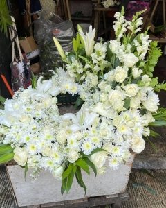 Funeral_Down Memory Lane (URN)